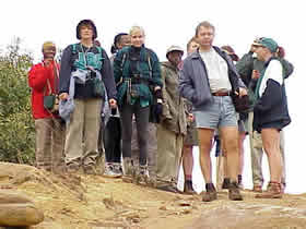 Gorillas in the mist...