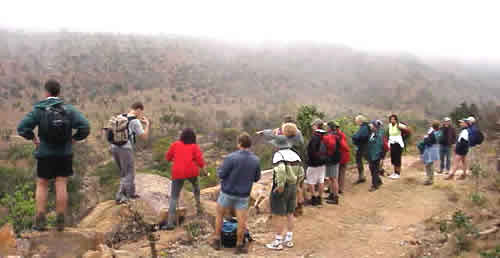 A breathtaking view of the hill over the Waterberg