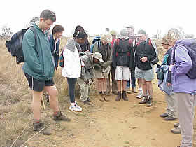 Is it a spoor or a lost contact lens?