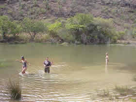 Cooling off in the dam