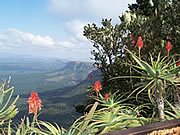 God's Window, Blydepoort Canyon, Mpumalanga